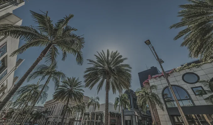 A low-angle view of the Beverly Hills office location, featuring tall palm trees against a clear blue sky. The upscale architecture of Rodeo Drive is visible on either side of the street.